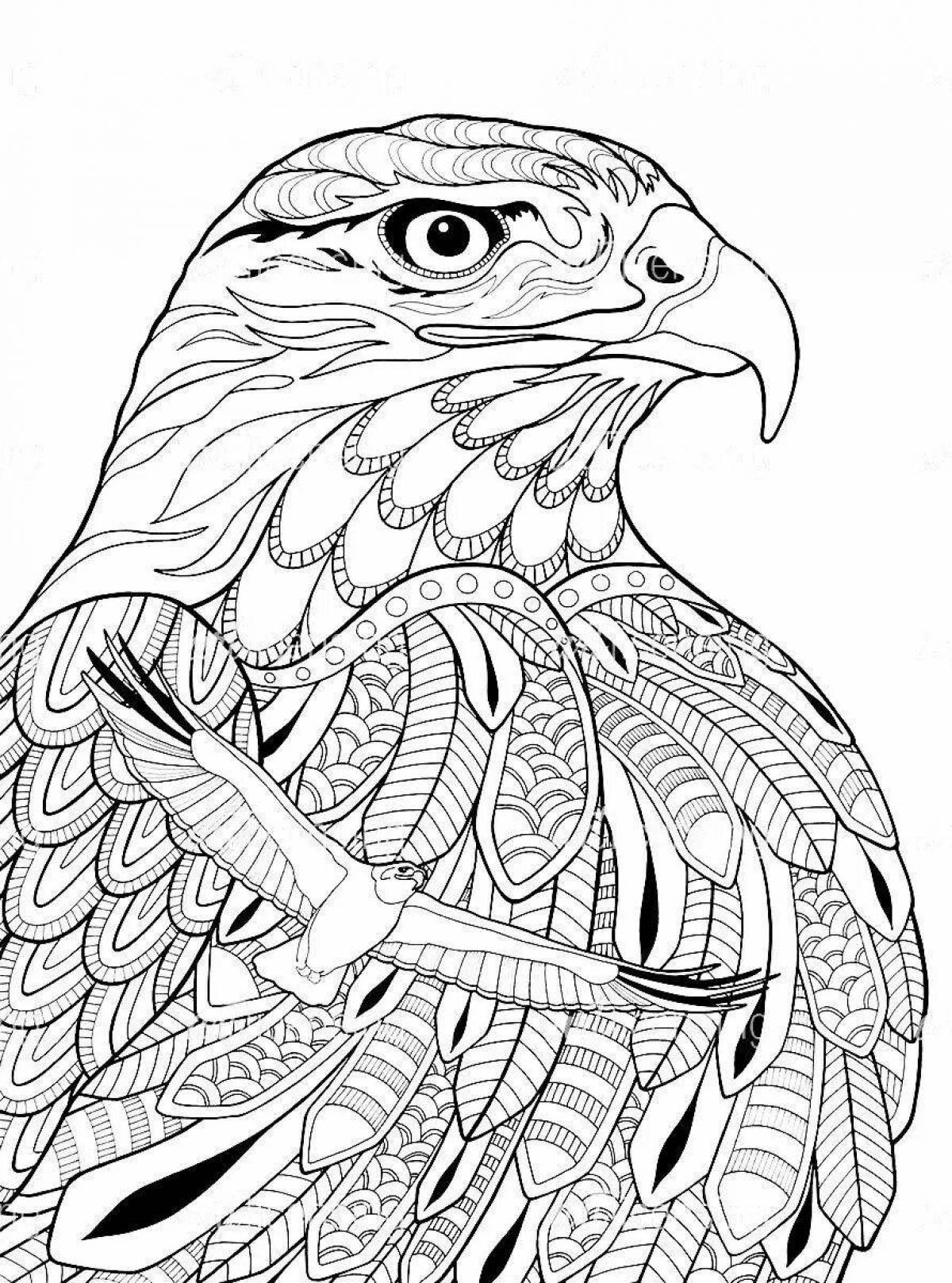 Excellent anti-stress eagle coloring book