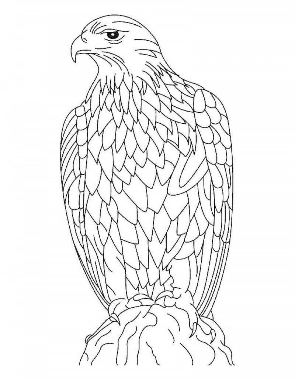 Роскошная раскраска антистрессовый орел