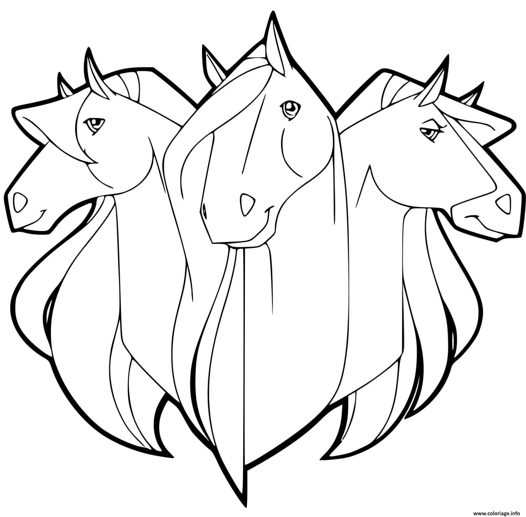 The magnificent trio of horses coloring page