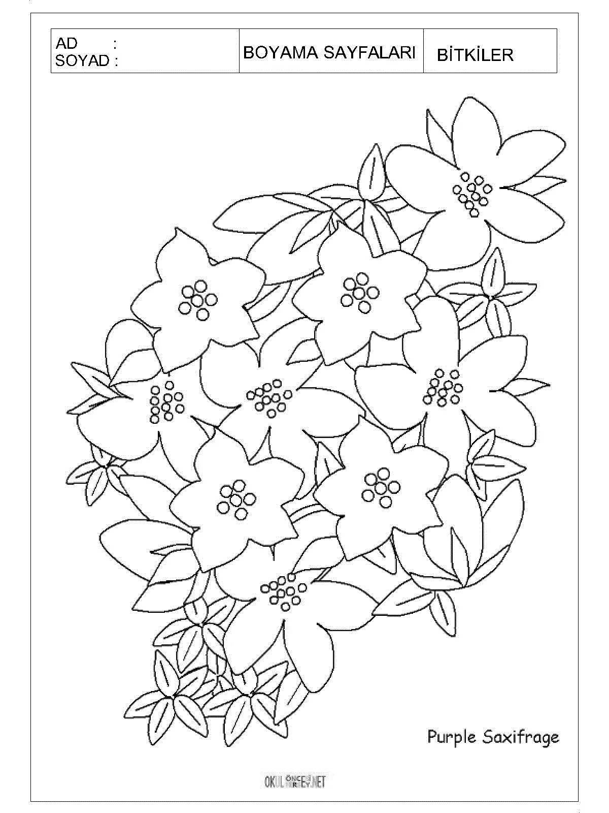 Big coloring of flowers