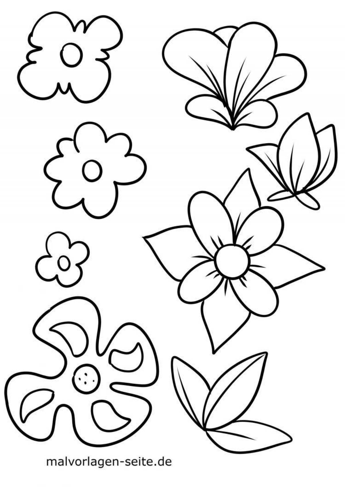 Playful coloring of flowers