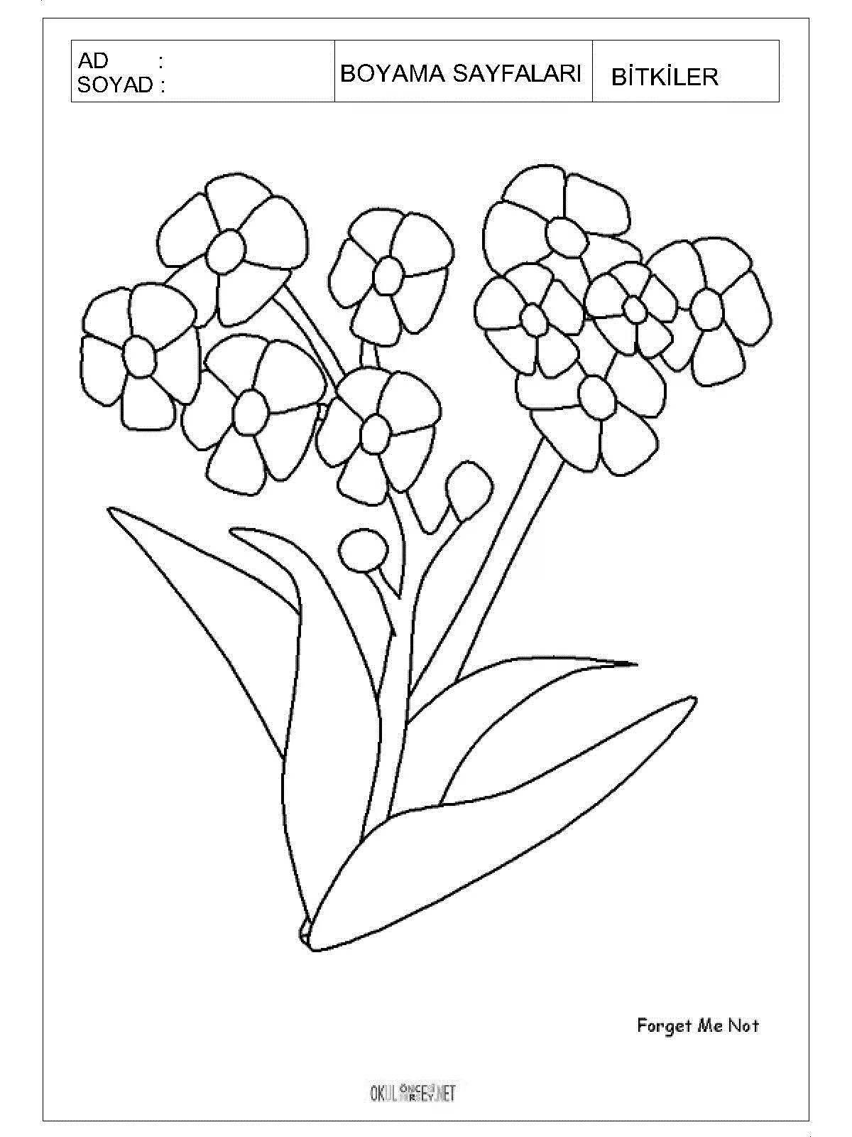 Coloring page joyful forget-me-not flower