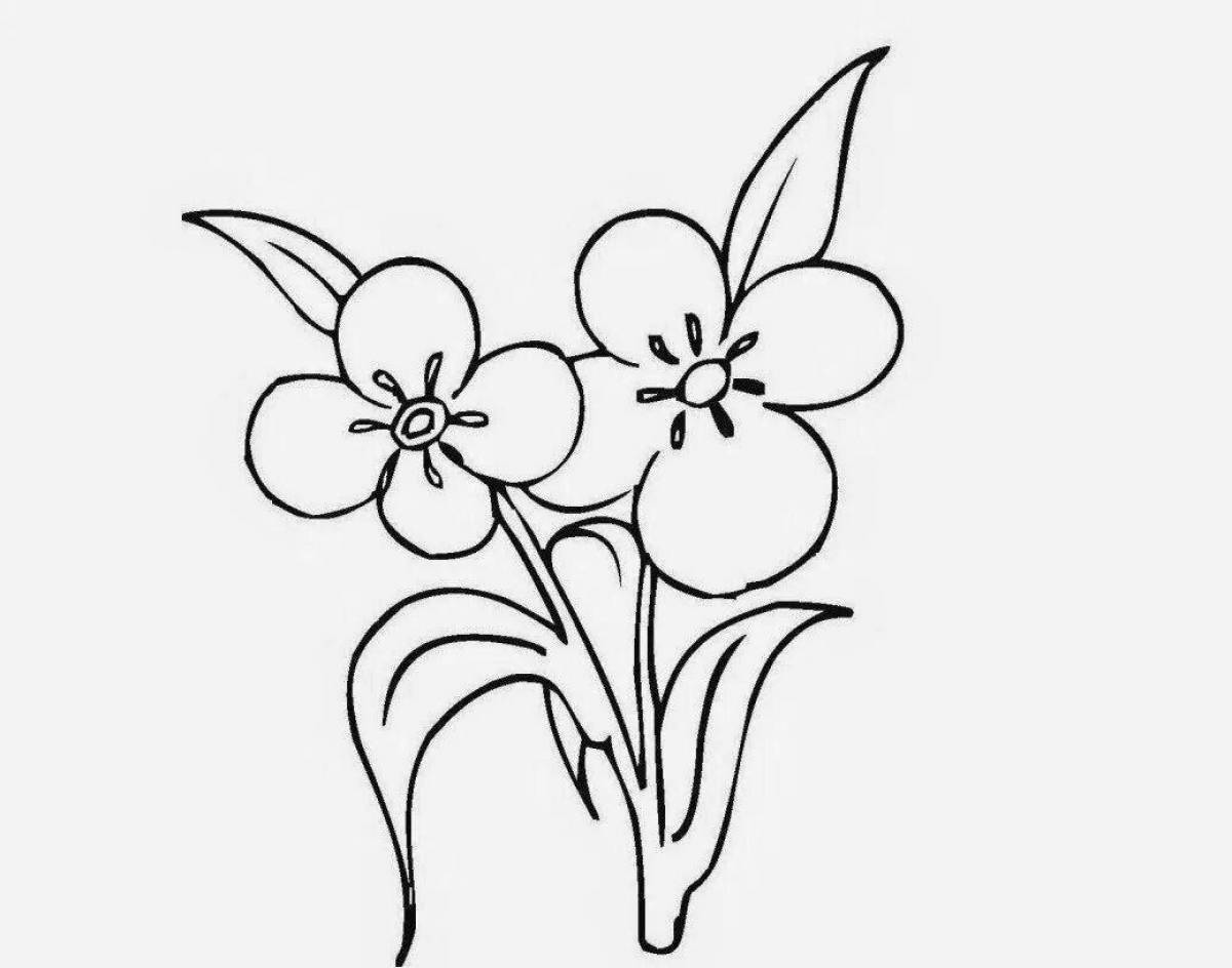 Glowing forget-me-not coloring page