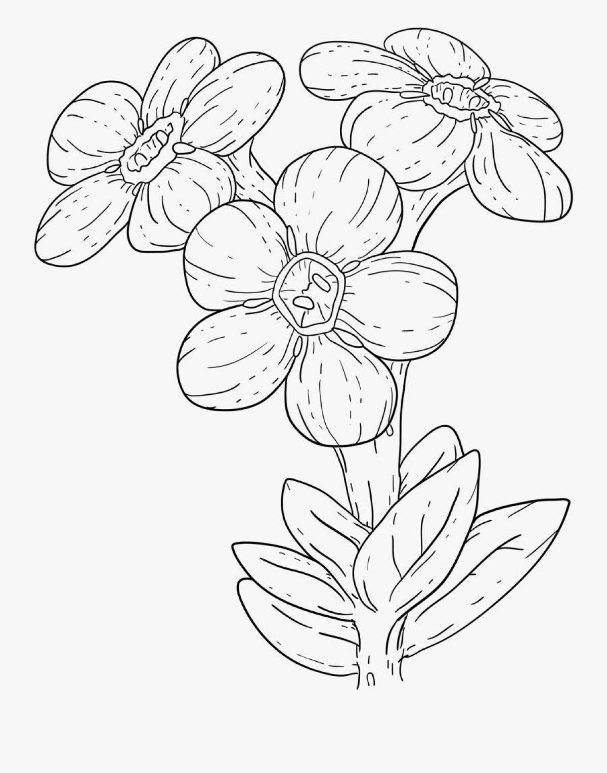 Coloring book exquisite forget-me-not flower