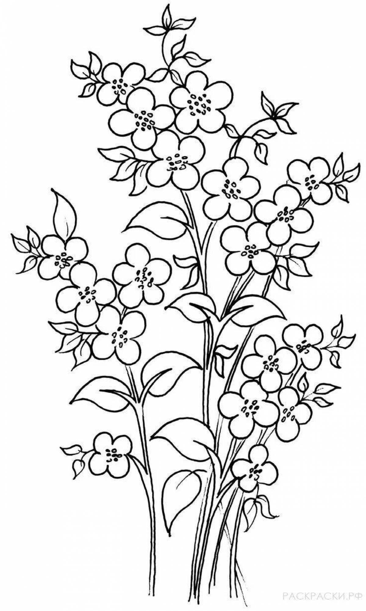 Coloring page exuberant forget-me-not flower