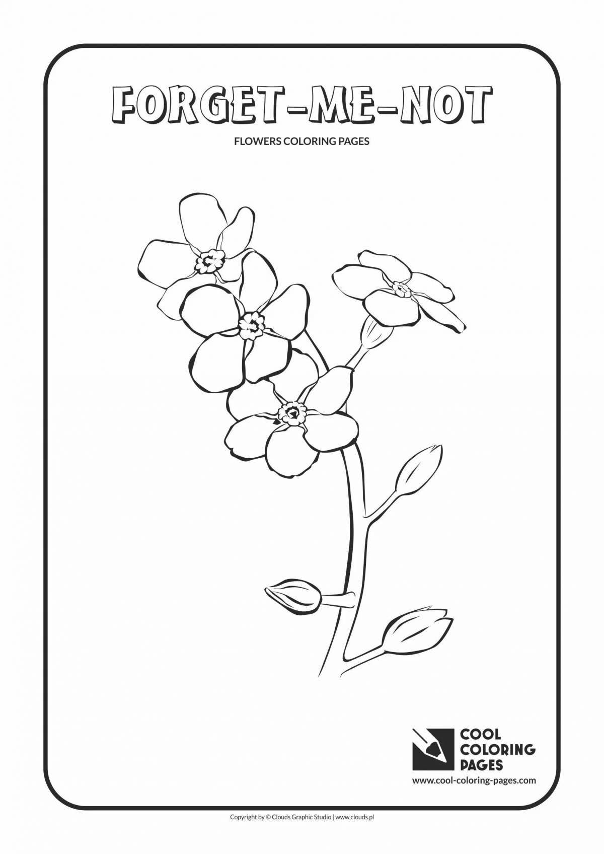 Coloring page blissful forget-me-not flower