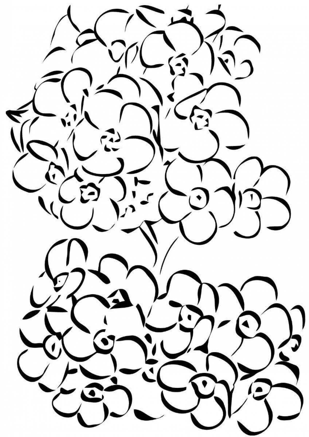Lucky forget-me-not flower coloring page