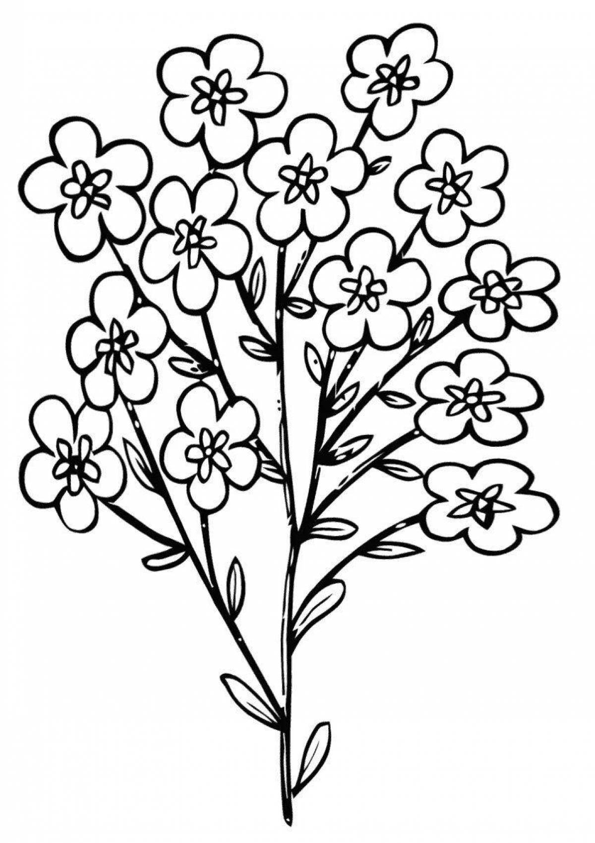 Coloring page elegant forget-me-not flower