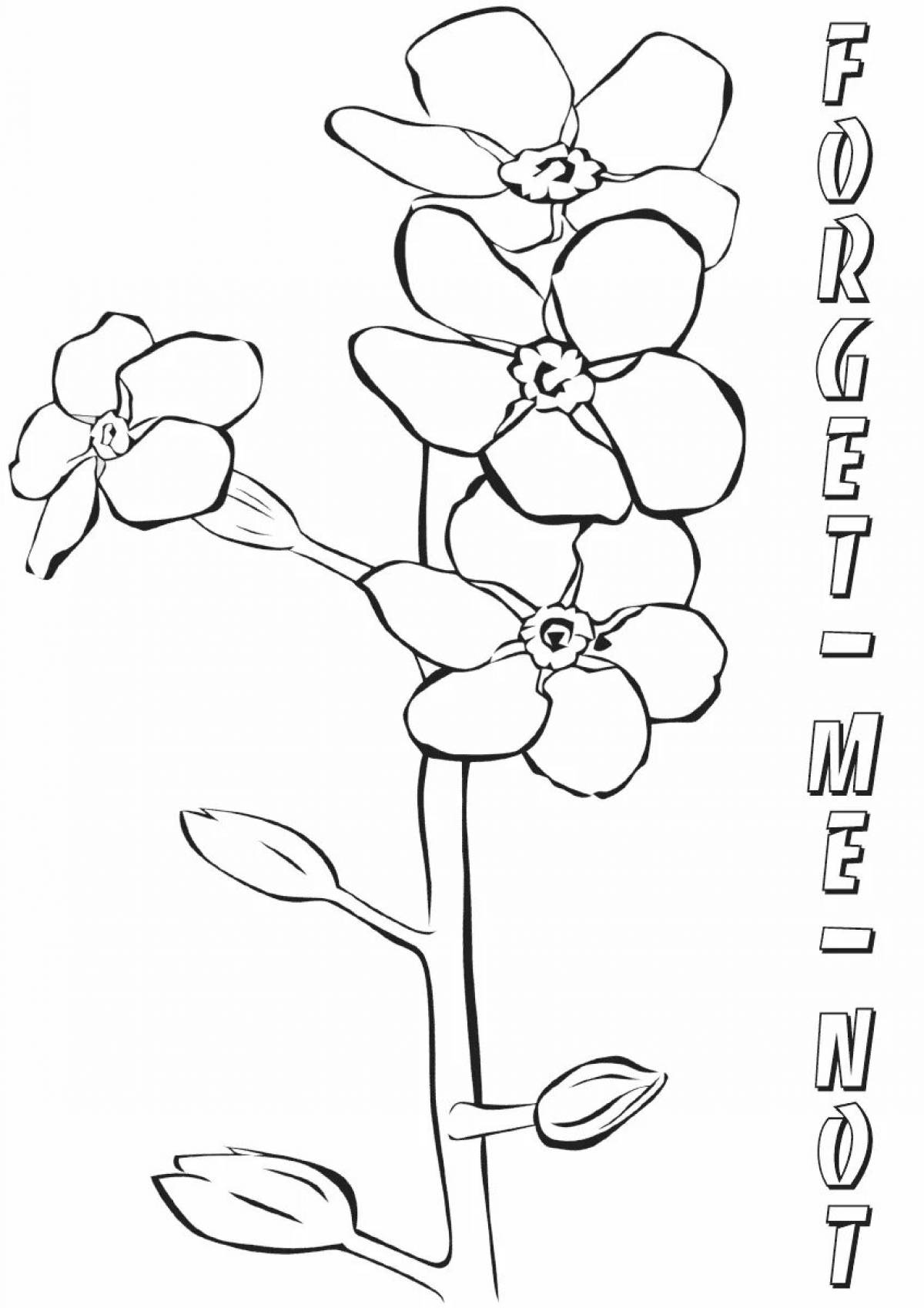 Forget-me-not inspirational coloring book