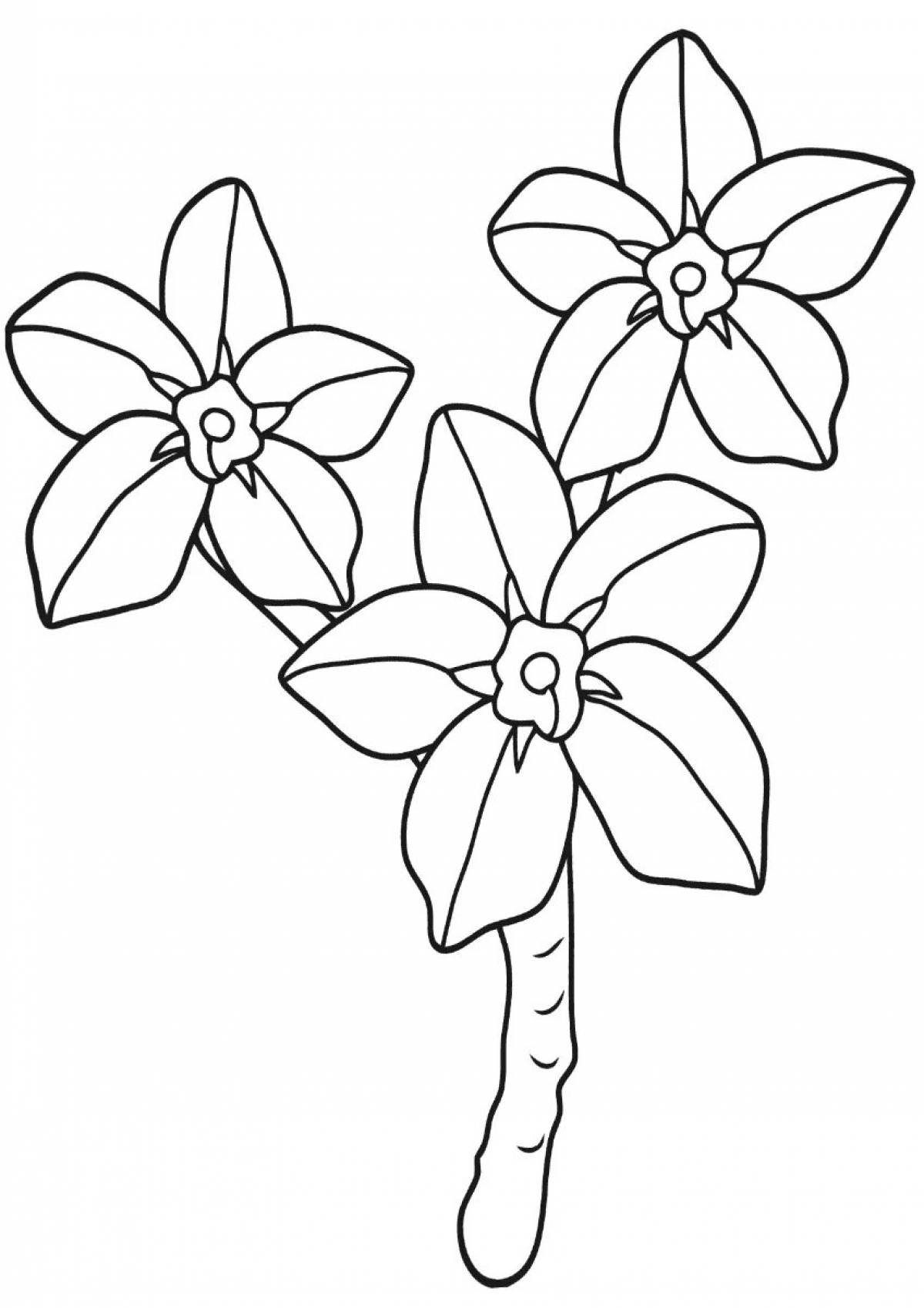 Artistic forget-me-not flower coloring book