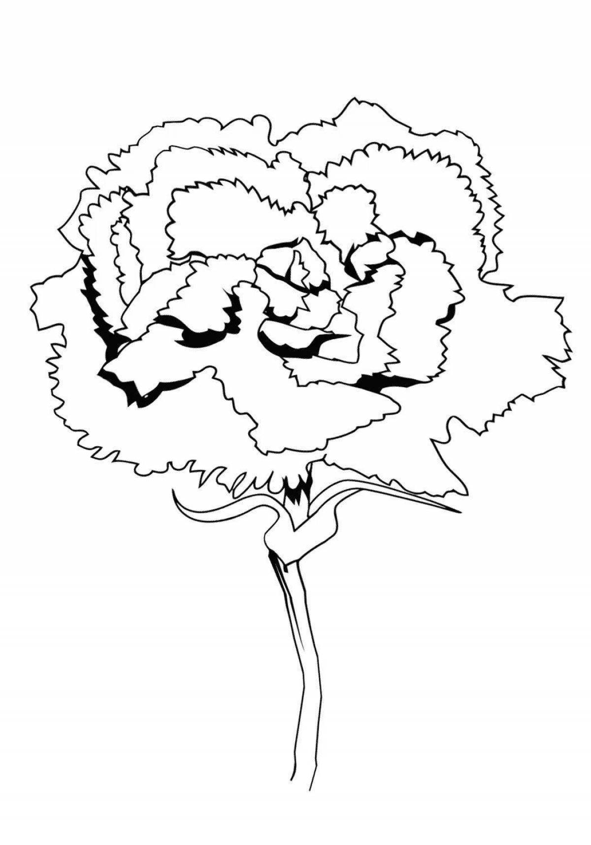 Joyful coloring 2 carnations