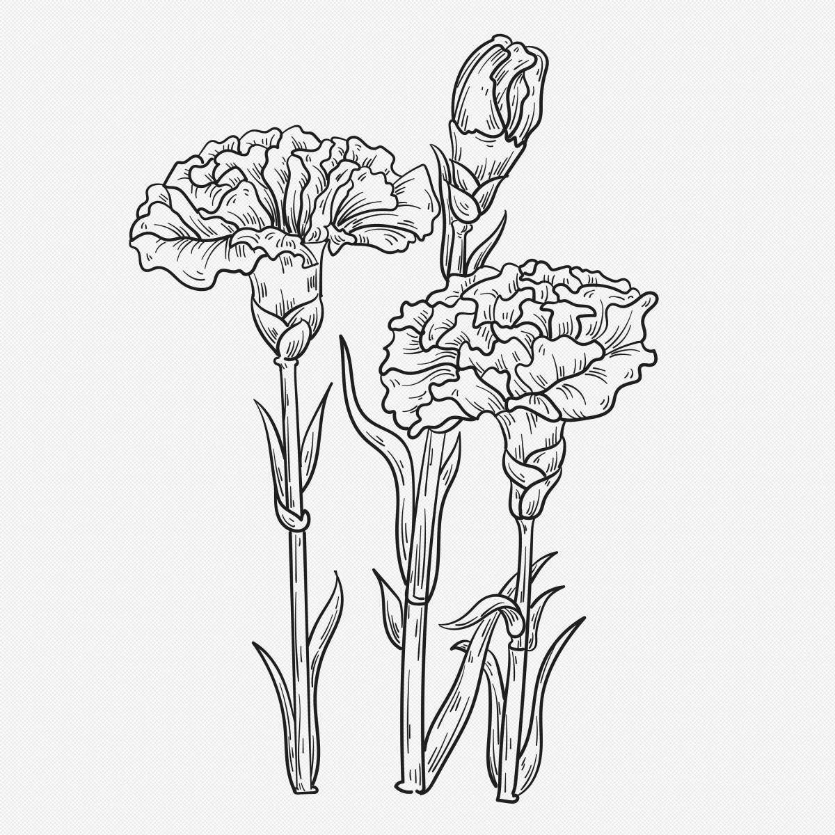 Coloring page charm 2 carnations