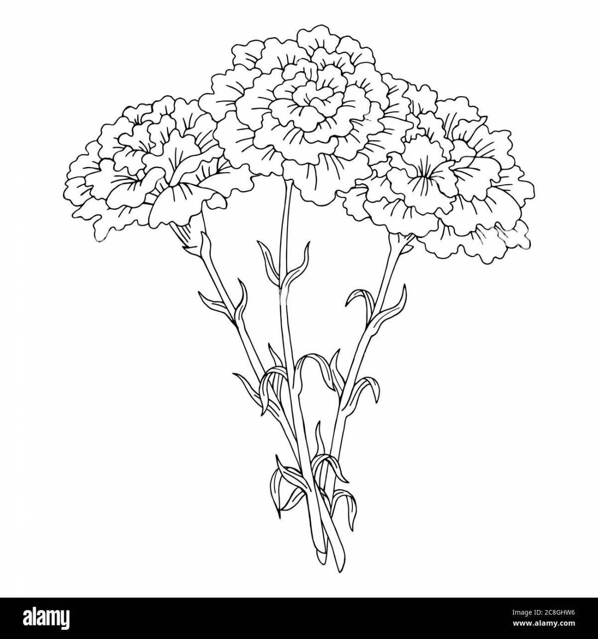 Intriguing coloring book 2 carnations