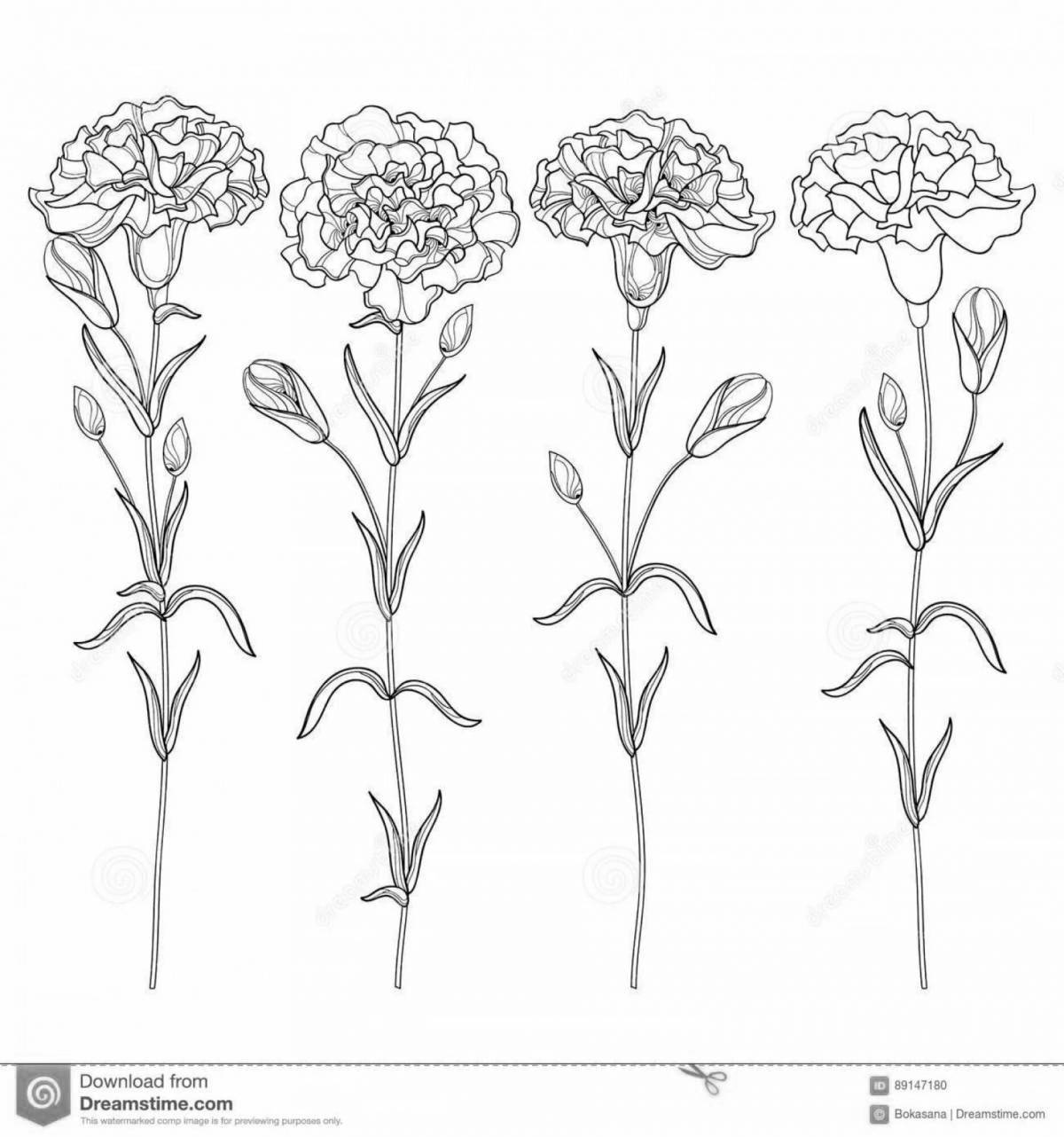 Fancy coloring 2 carnations