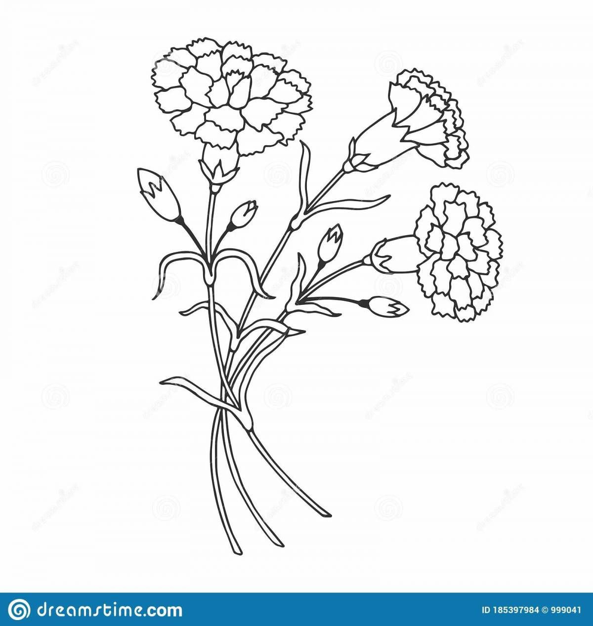 Creative coloring 2 carnations
