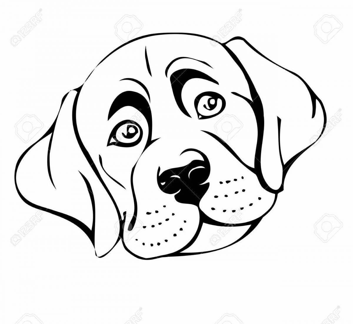 Fancy dog ​​head coloring page