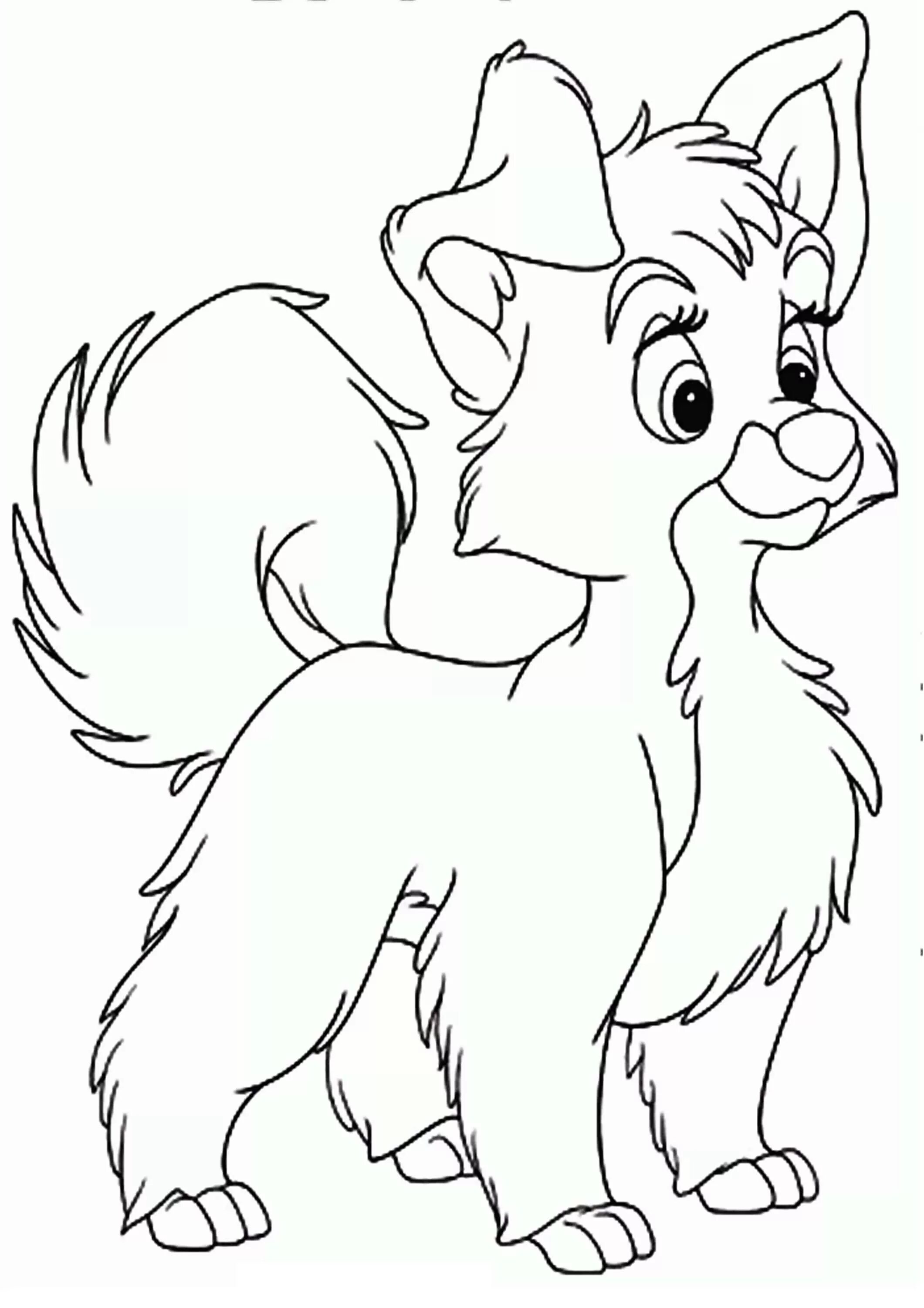 Fun cartoon dog coloring book