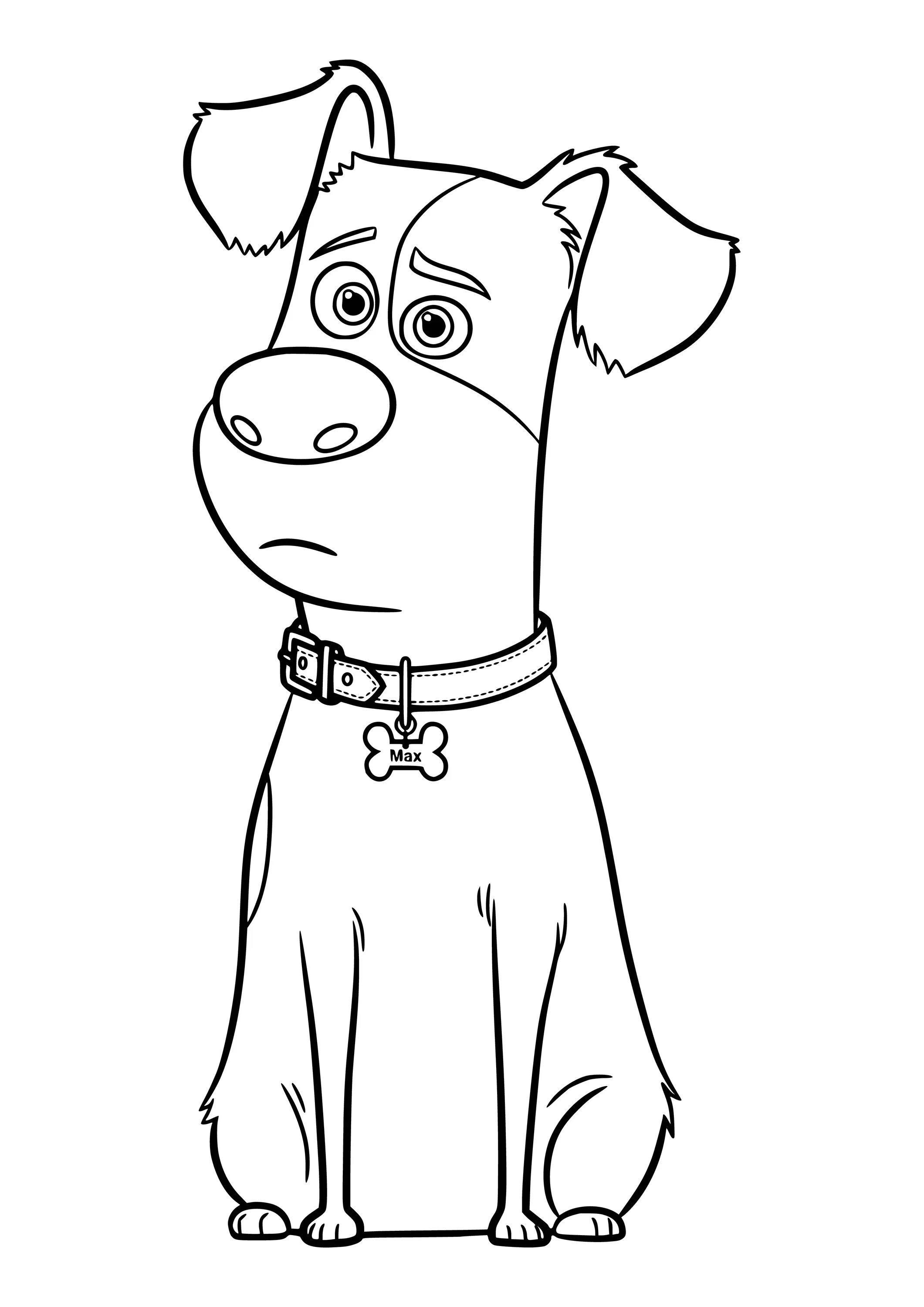 Cartoon dog #3