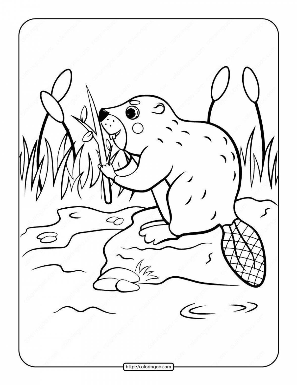 Coloring cute beaver