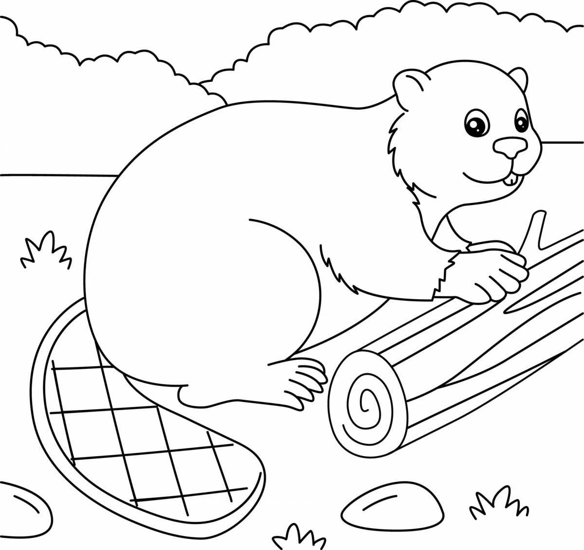 Beaver live coloring