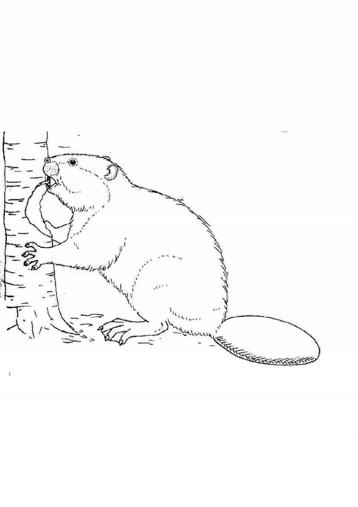 Naughty beaver coloring page
