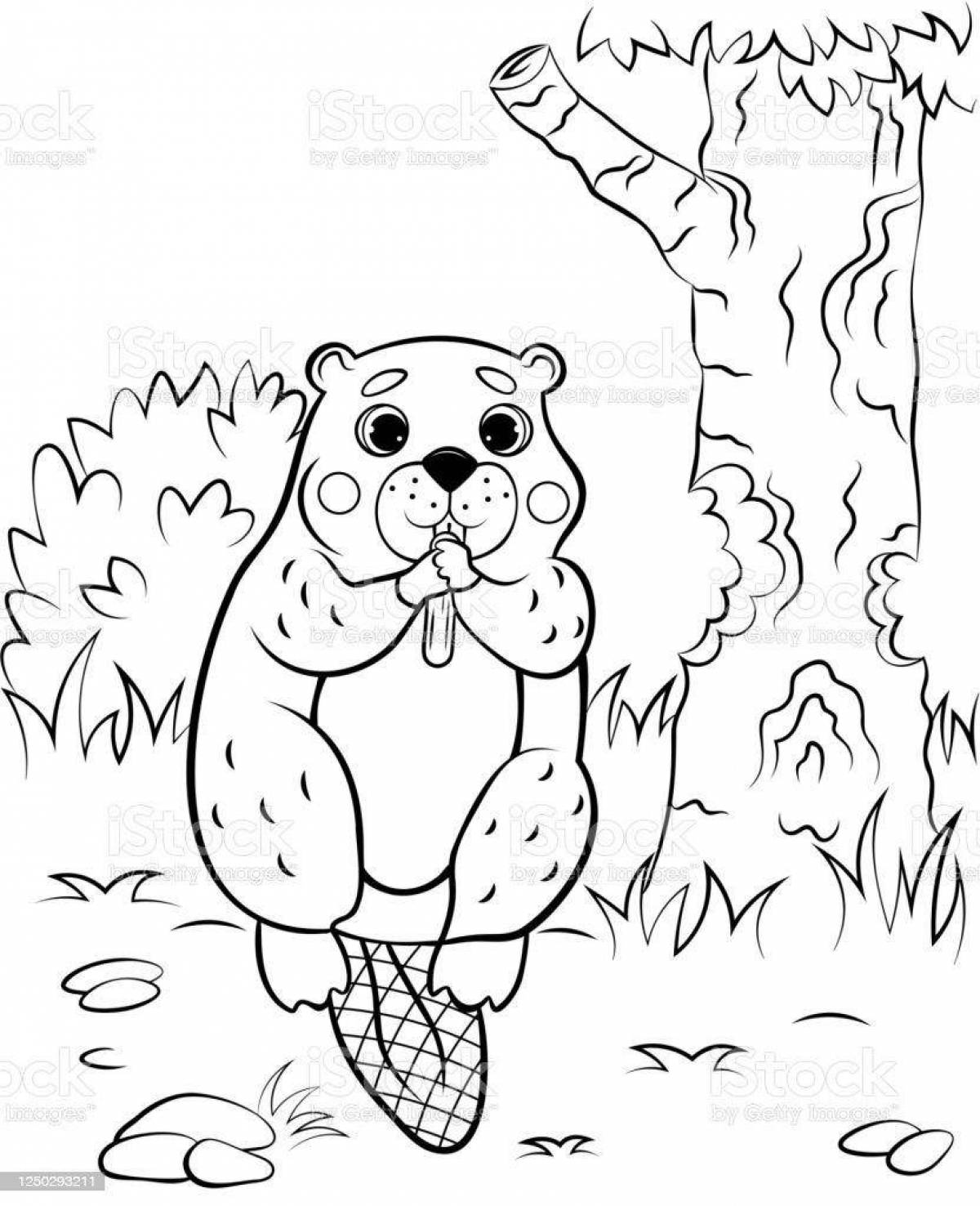 Beaver fun coloring book