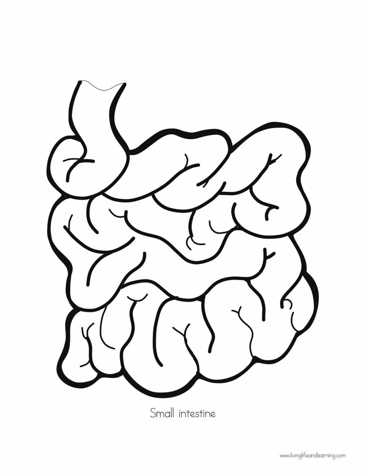 Coloring the human intestine