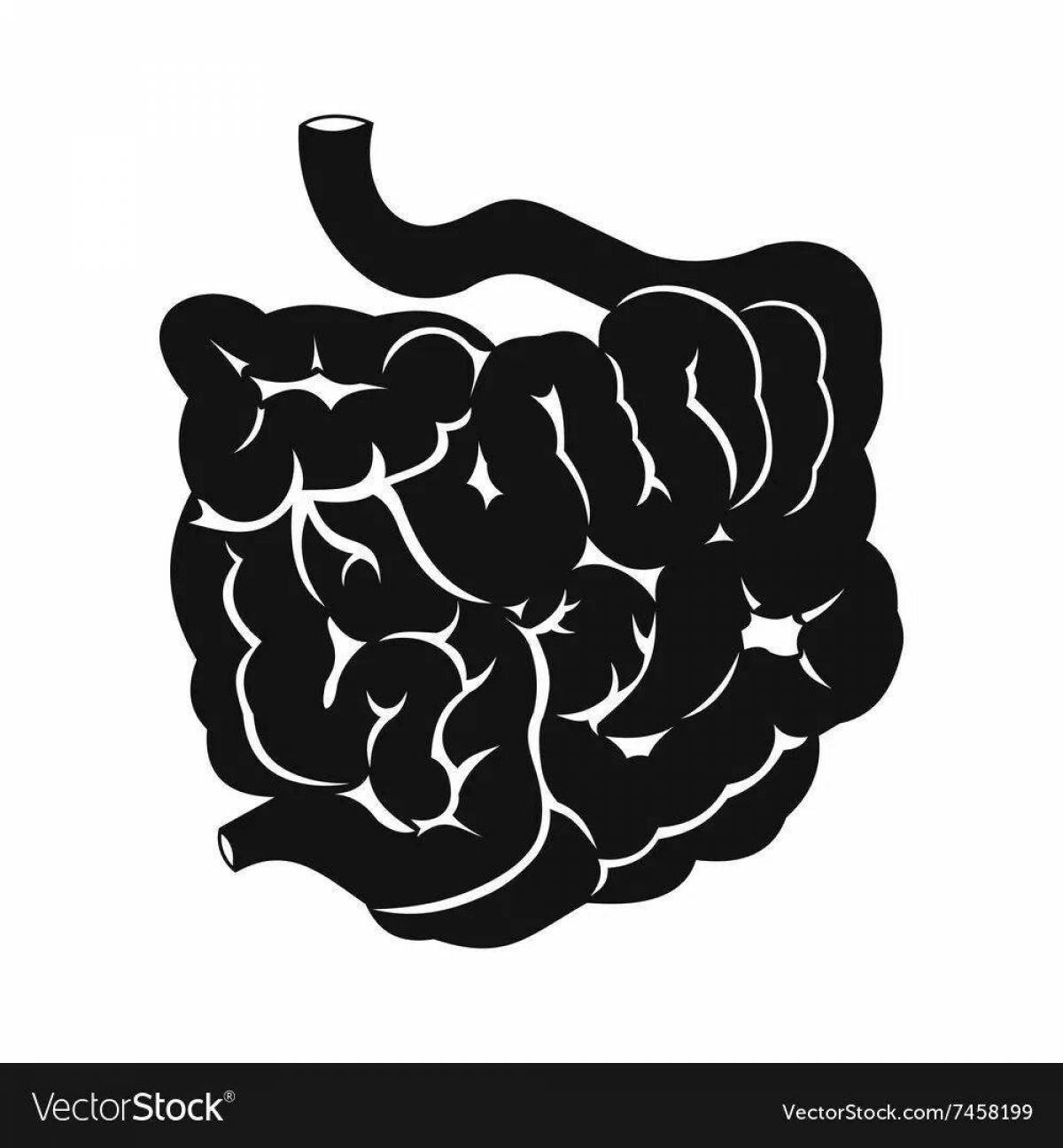 Realistic human intestine coloring