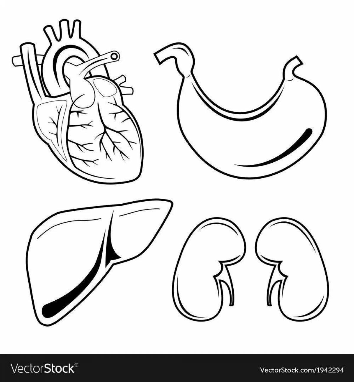 Artistic coloring of the human intestine