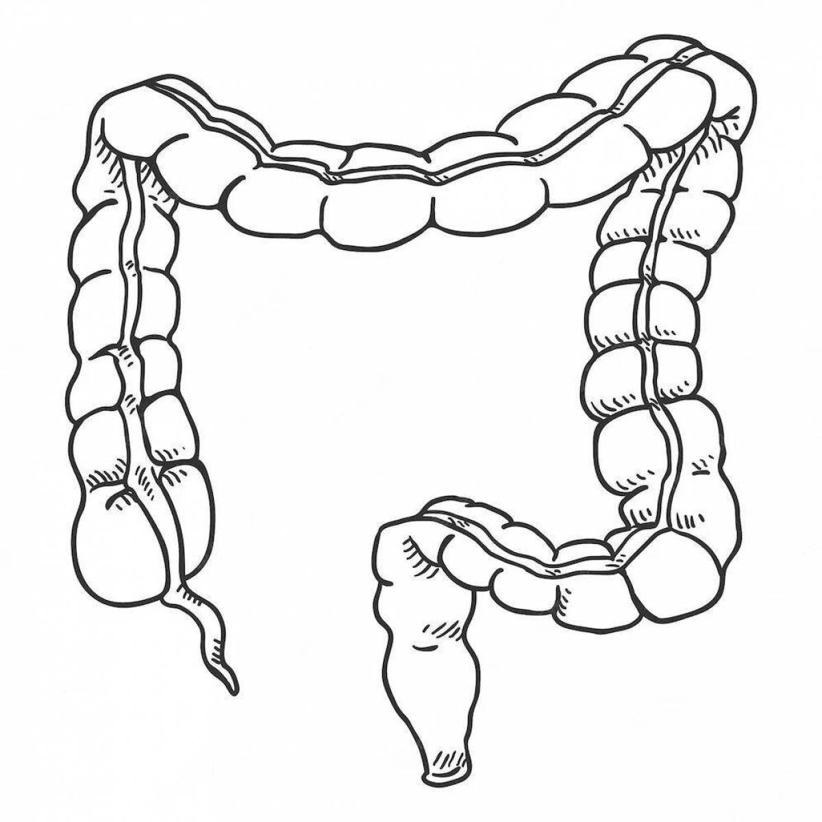 Unique human intestine coloring page