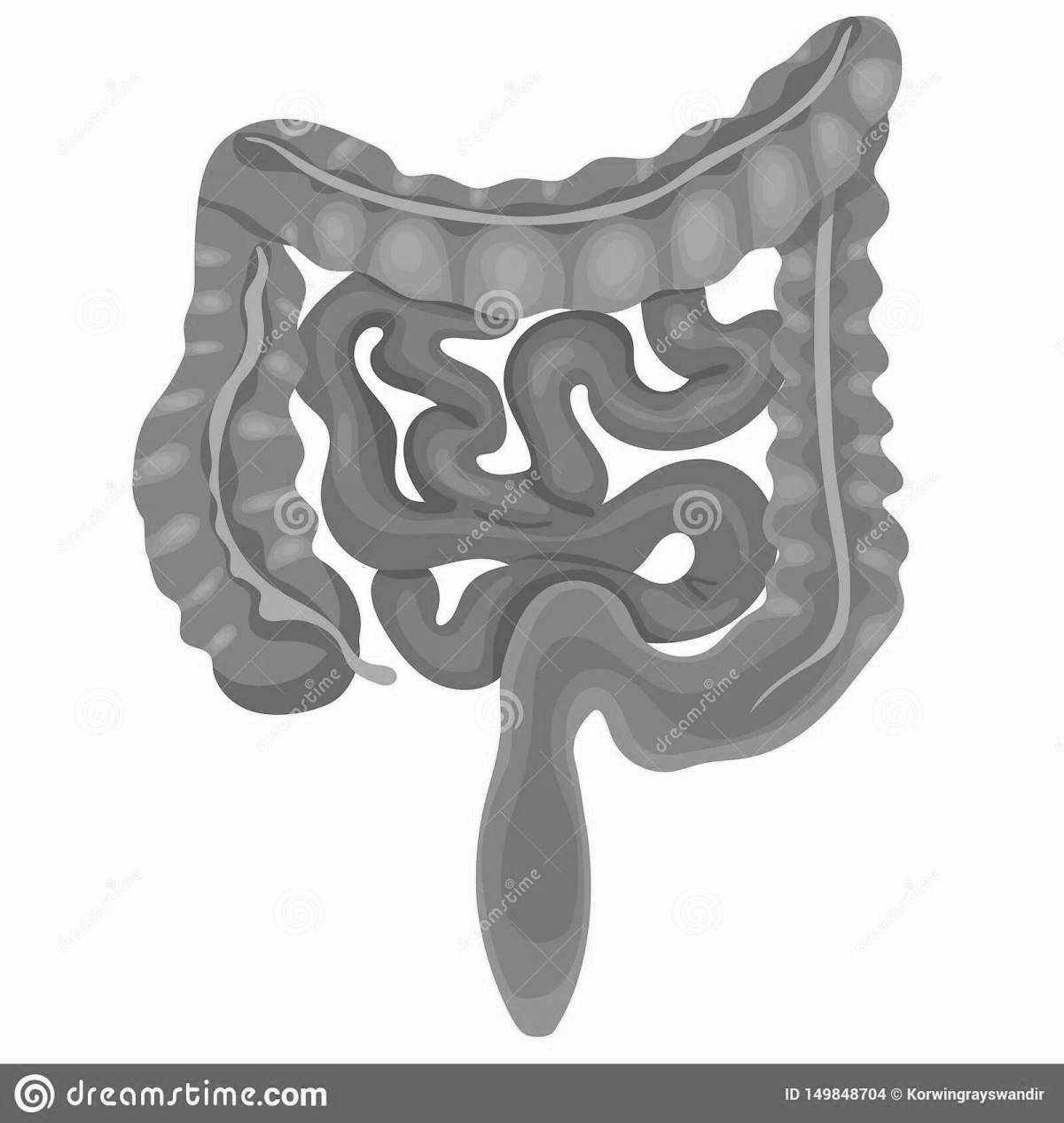 Radiant coloring page human intestine