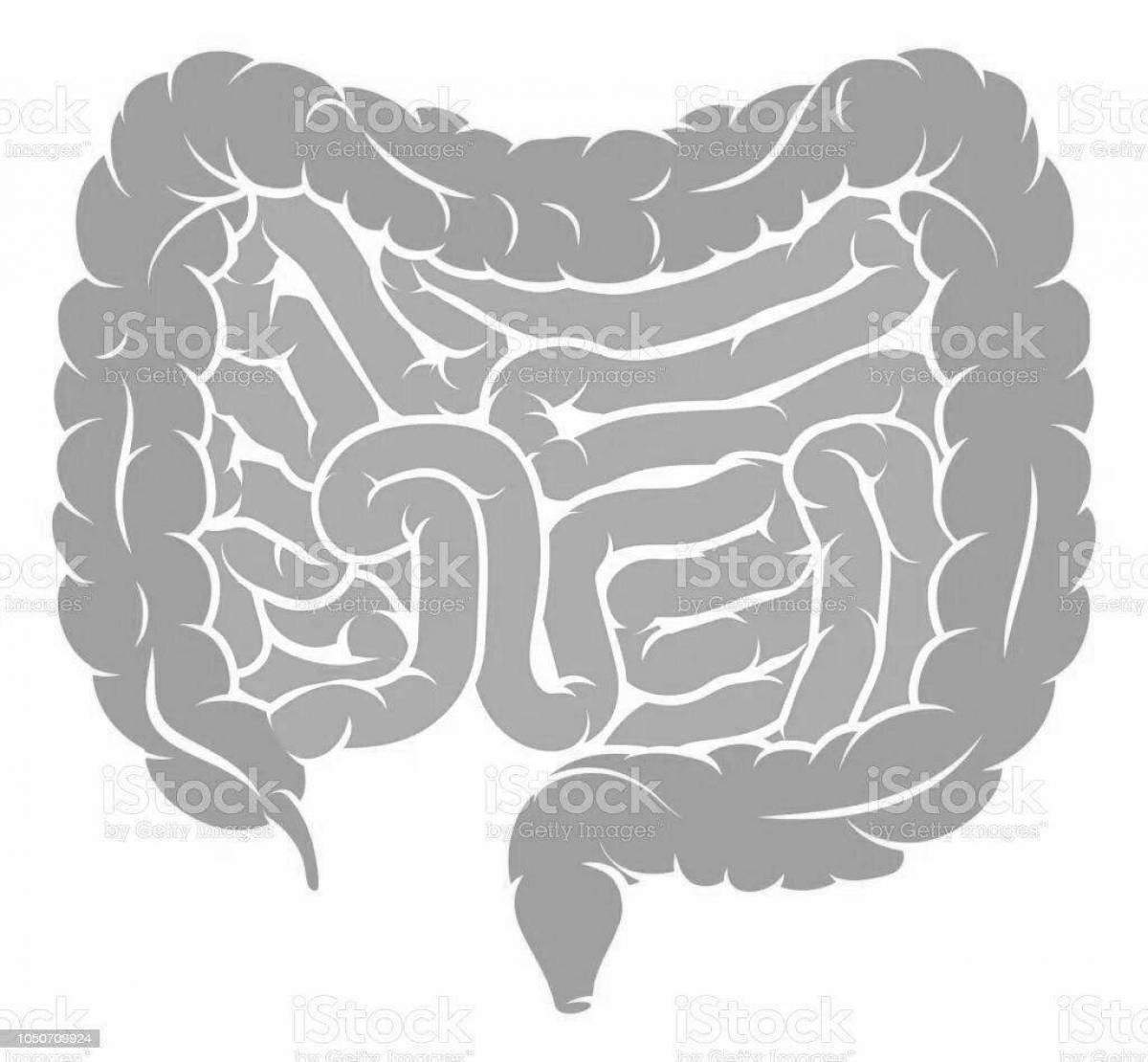 Luminous human intestine coloring book