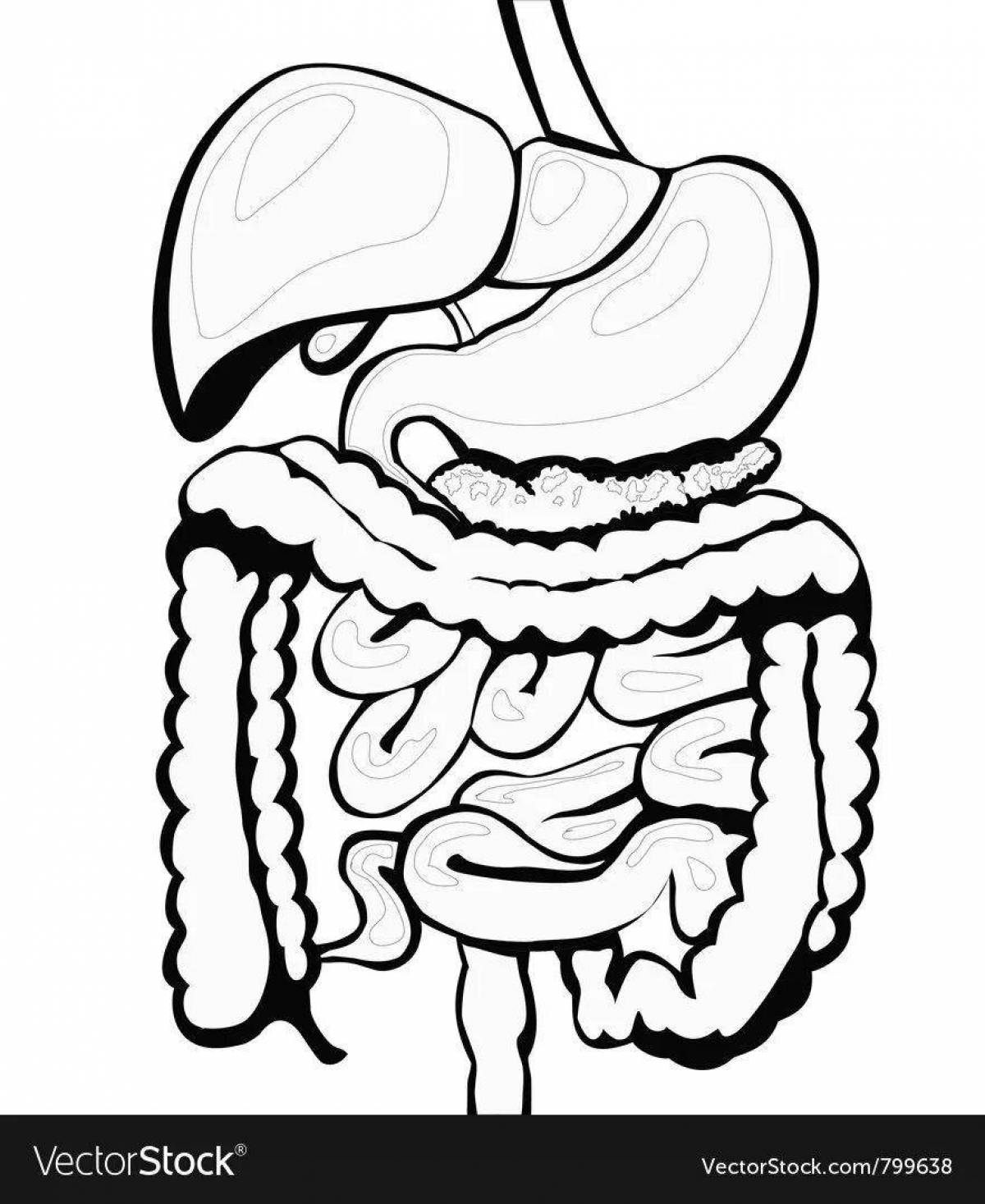 Dazzling coloring of the human intestine