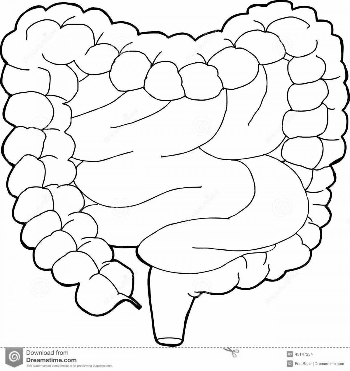 Tempting coloring of the human intestine