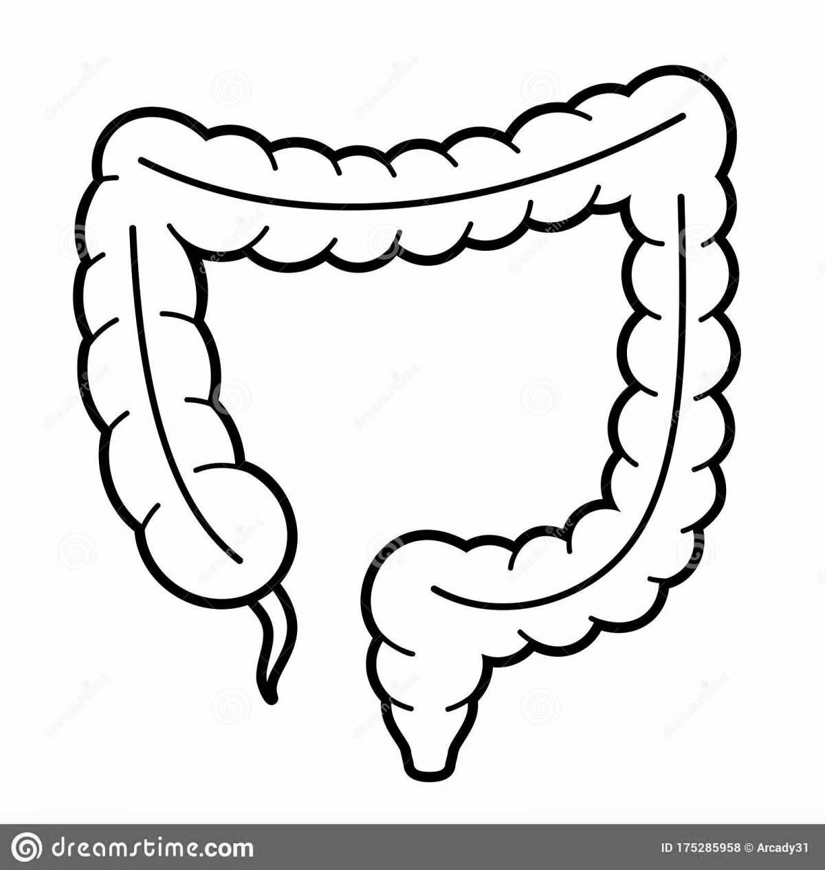 Adorable human intestine coloring book