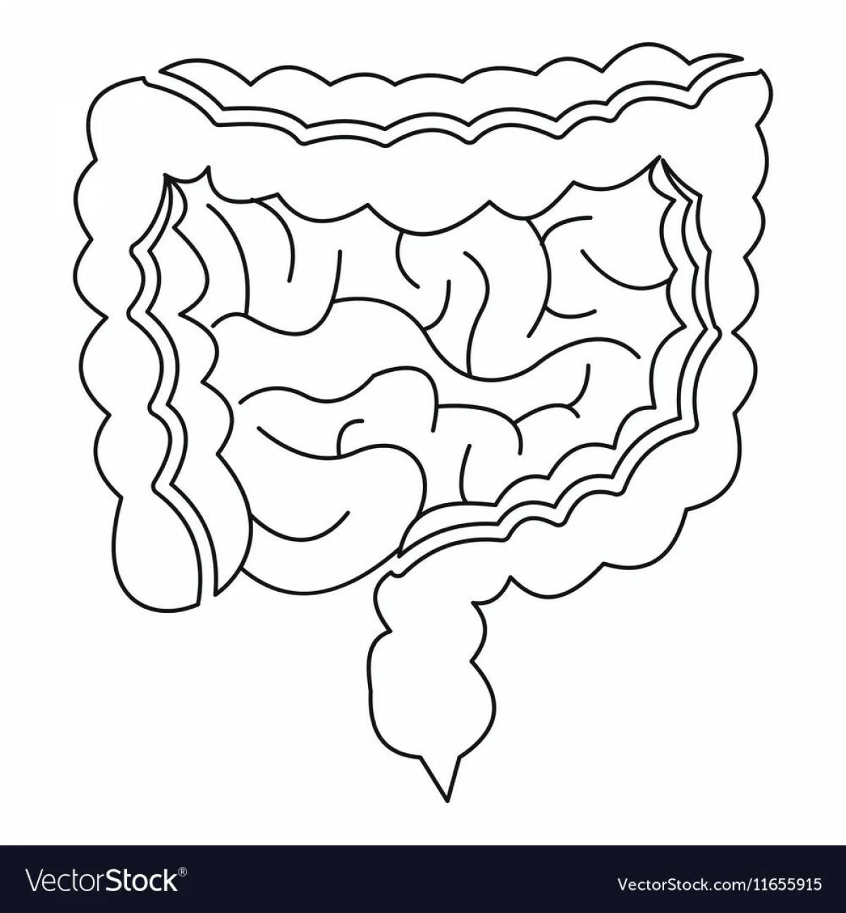 Hypnotic coloring of the human intestine