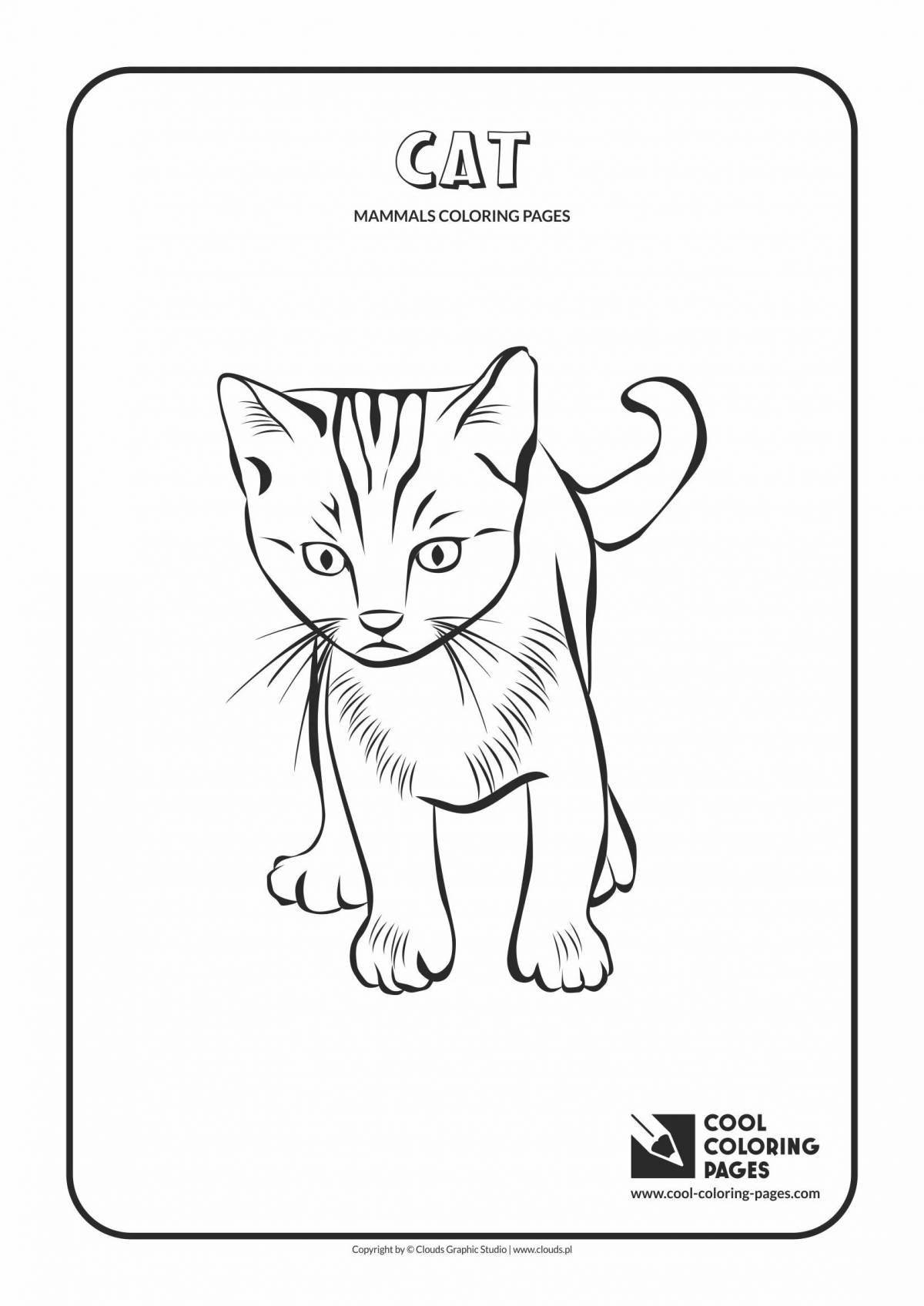 Awesome cat food coloring page