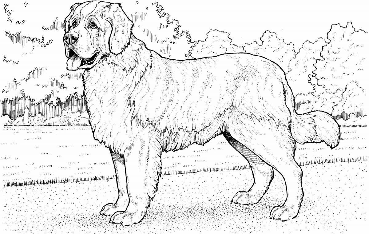 Coloring book gorgeous caucasian shepherd dog