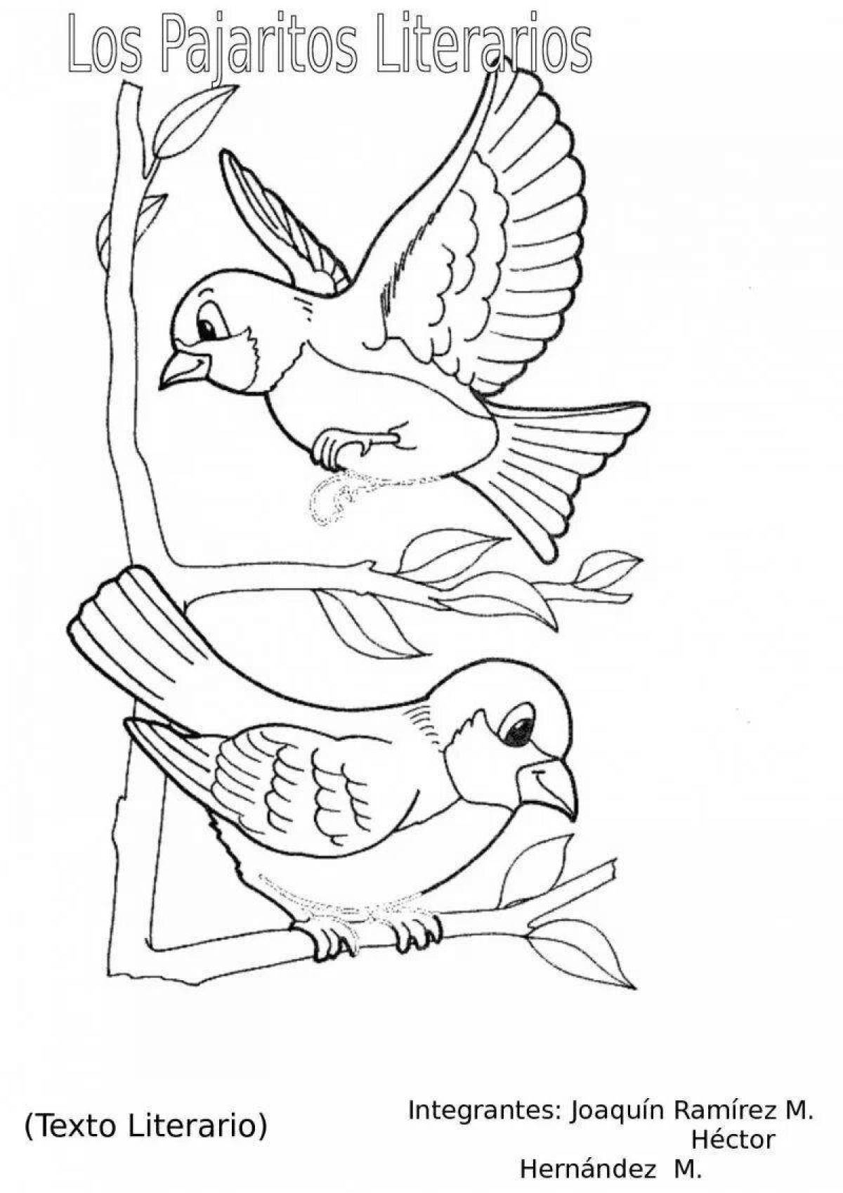 Раскраска Раскраска славный воробей