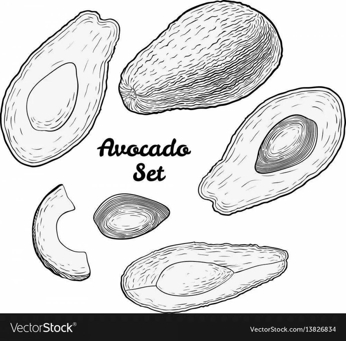 Small live avocados