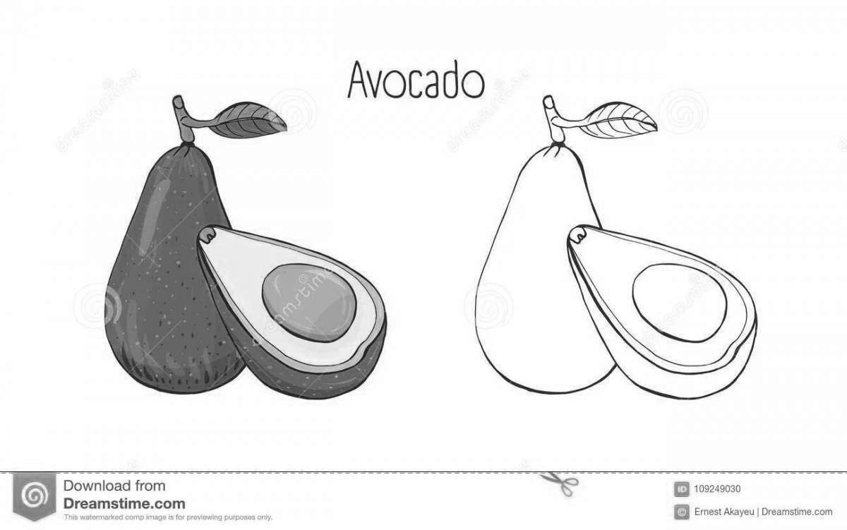 Live avocados, small