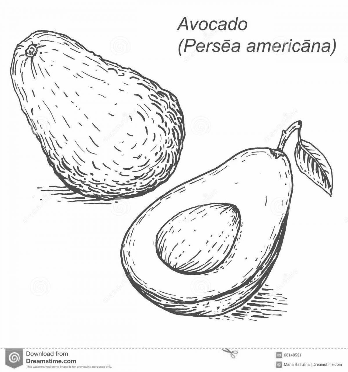 Photo Miniature avocados, small