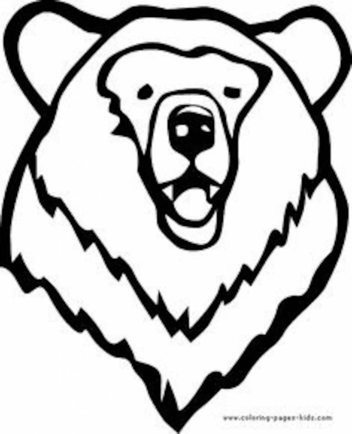 Fun bear face coloring page