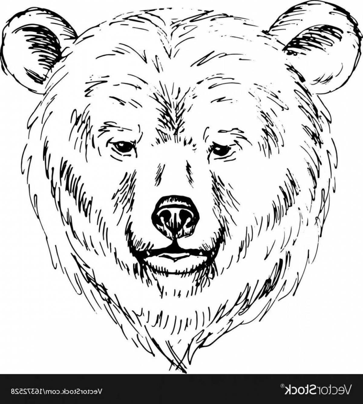 Раскраска озорной медведь