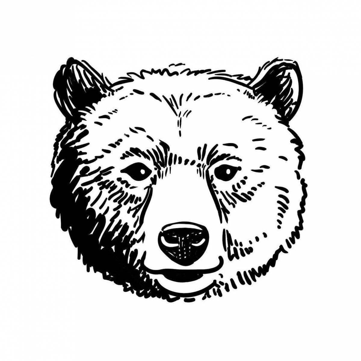 Анимированная страница раскраски морды медведя