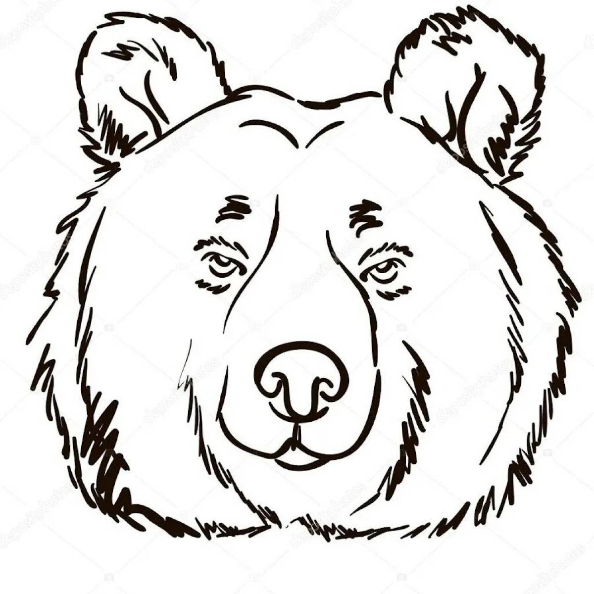 Лицо медведя #4