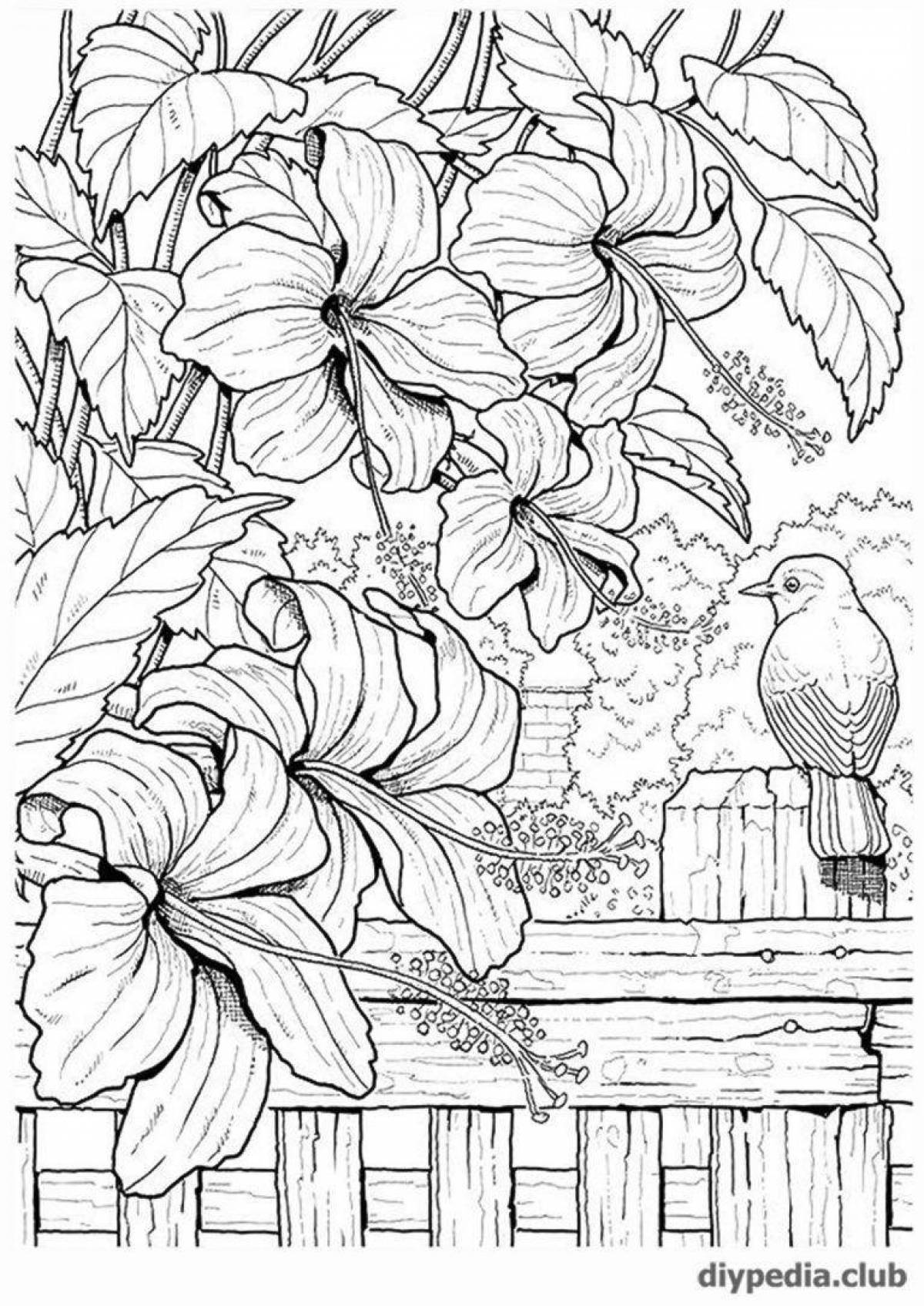 Photo Delightful complex coloring