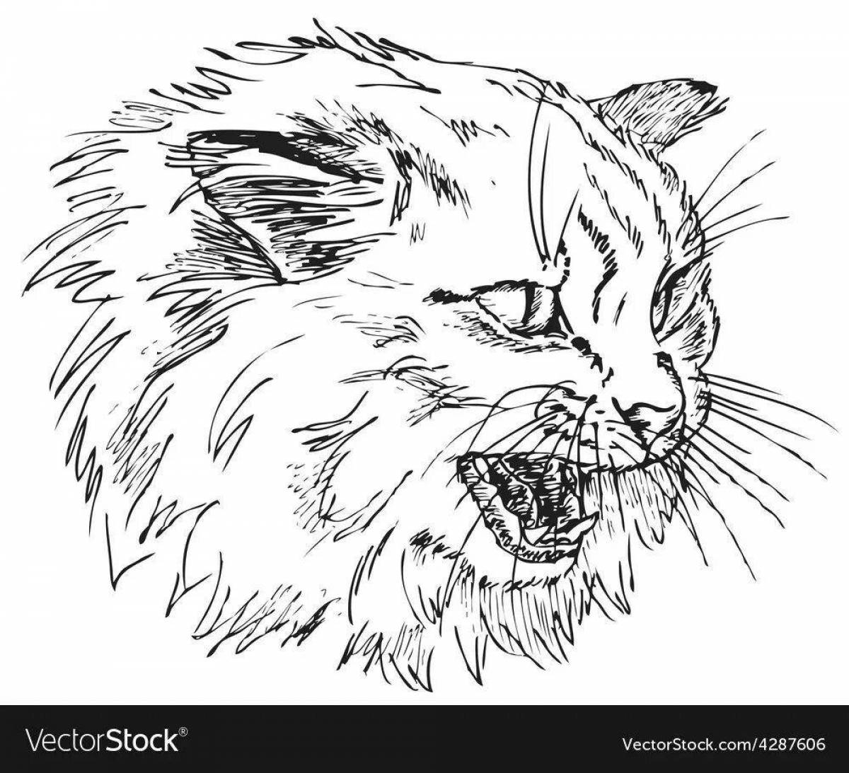 Angry angry cat coloring page