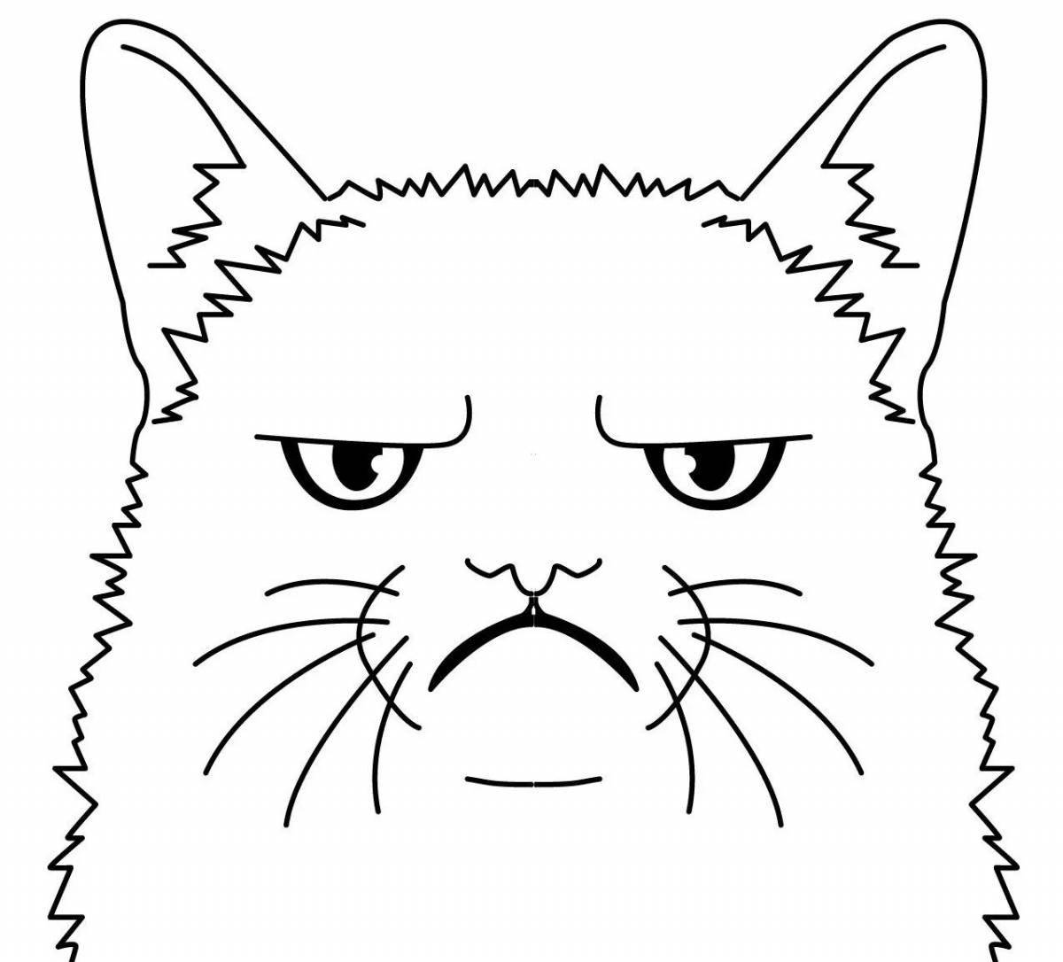 Coloring book inflamed angry cat