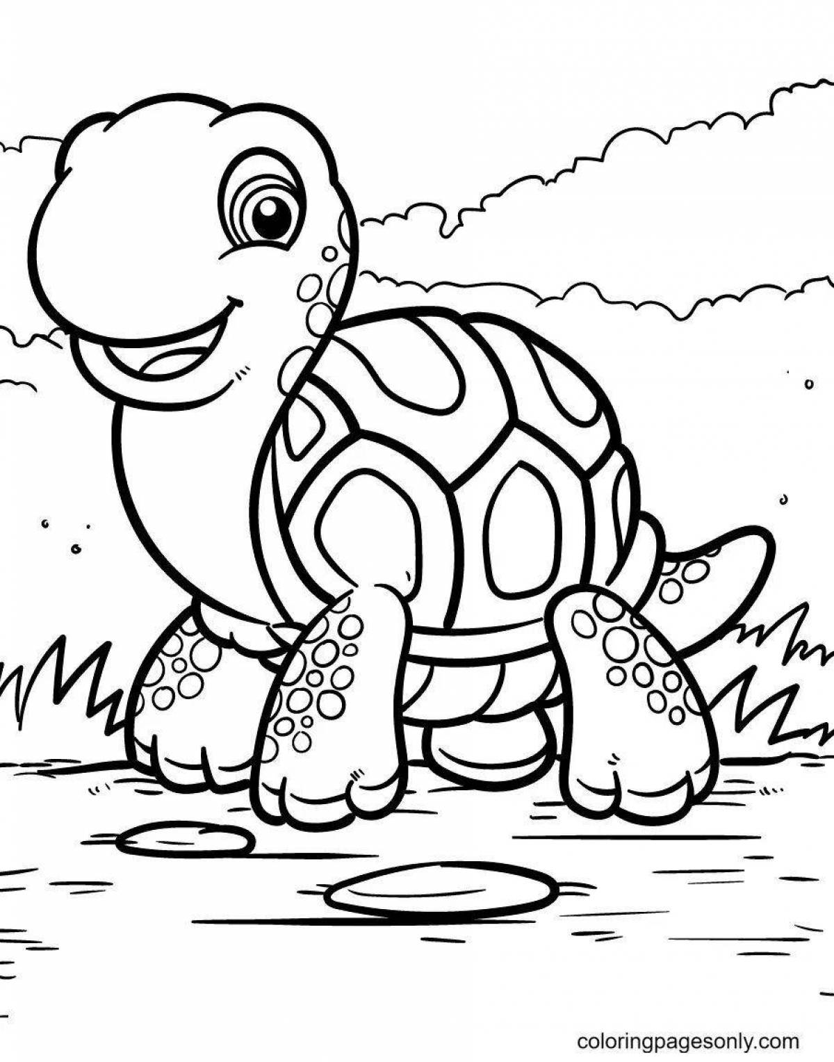 Adorable cute turtle coloring book